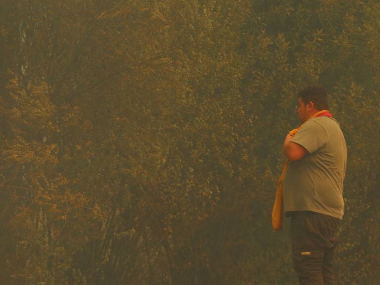 Tras los incendios forestales: recomendaciones para cuidarse de la mala calidad del aire