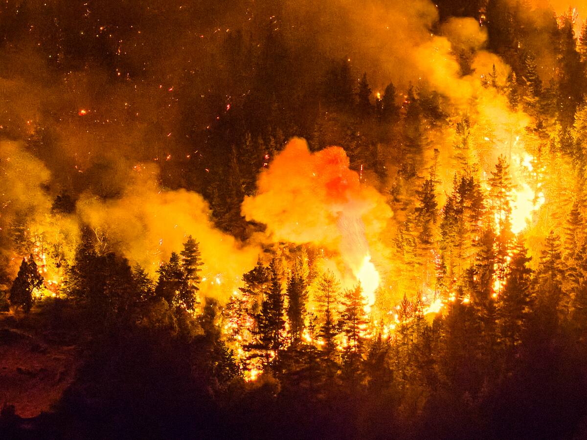 “Se nos está incendiando todo”: la cruda advertencia de influencer argentina desde la Patagonia