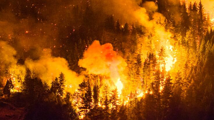 Incendio forestal sin tregua en la Patagonia argentina: llamas consumen más de 2 mil hectáreas y generan masiva evacuación
