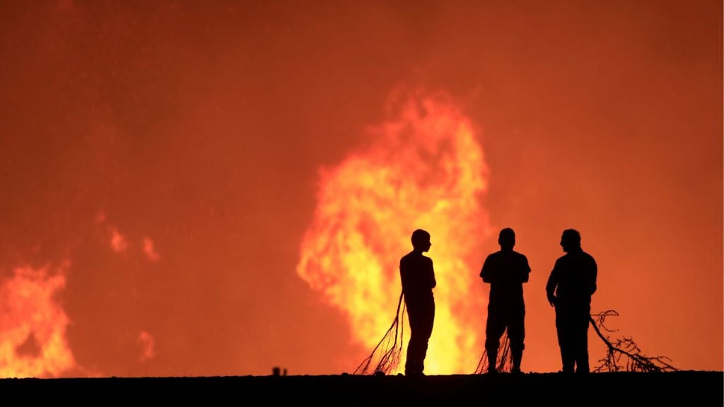 trabajo desde la ciencia - incendios y desastres