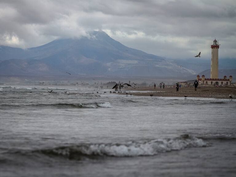 «No me rompas los huevos»: La campaña de la Municipalidad de La Serena para cuidar las aves del sector costero