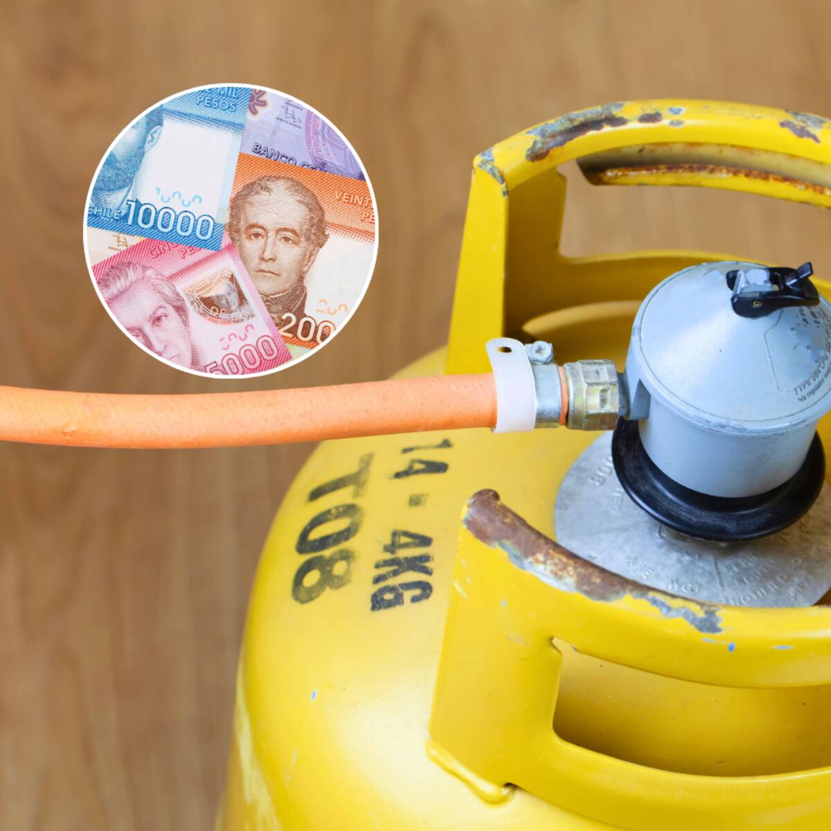 Subsidio al Gas Licuado en Chile: cómo consultar con RUT si podrás acceder al pago