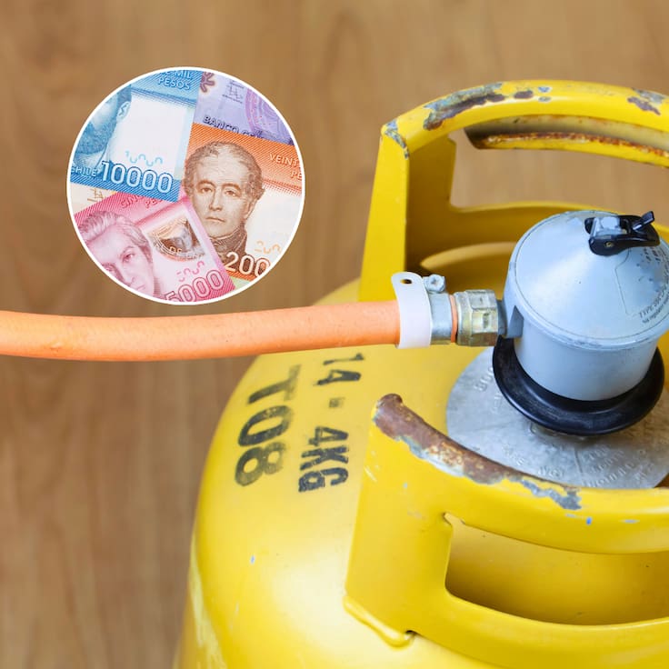 Subsidio al Gas Licuado en Chile: cómo consultar con RUT si podrás acceder al pago