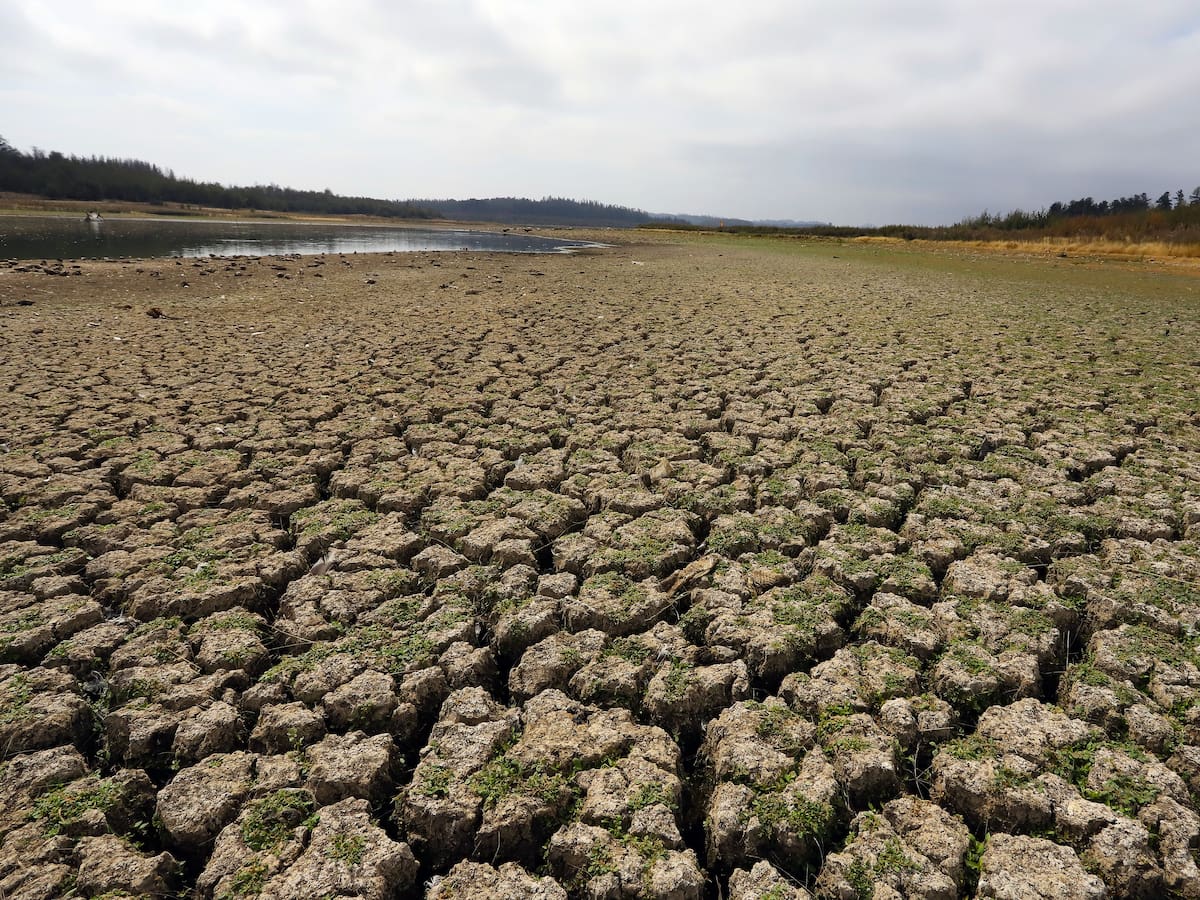 Expertos aseguran que heladas por el fenómeno de La Niña “podrían ser catastróficas” durante el invierno