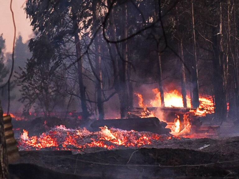 Confirman tercer ataque incendiario en menos de 9 horas en La Araucanía