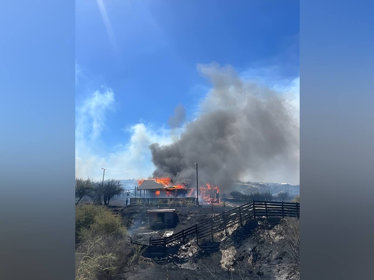 Incendio en Litueche y Las Cabras deja 500 hectáreas consumidas por el fuego: hay seis viviendas afectadas y una persona en el hospital