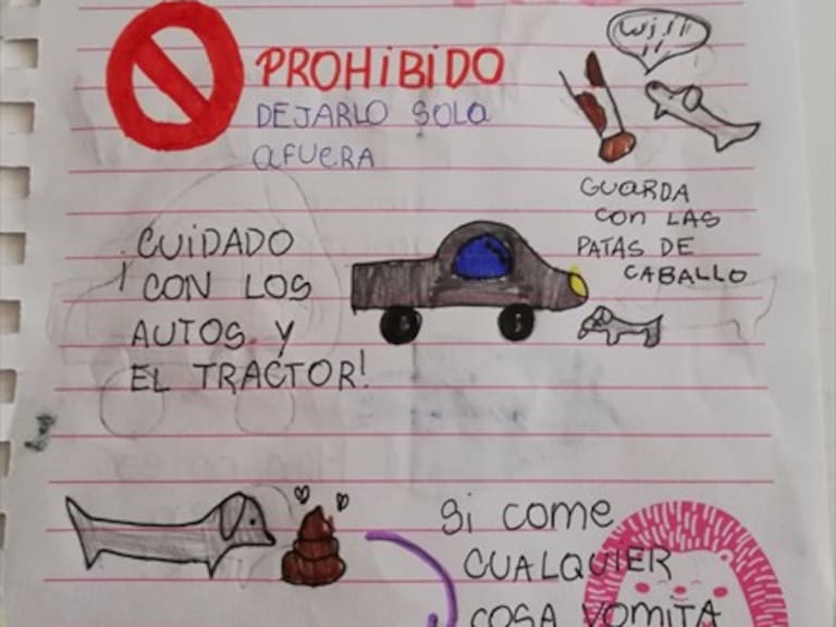 «Cuidados de Milo»: niña creó un manual de usuario para que tía cuide a su perro