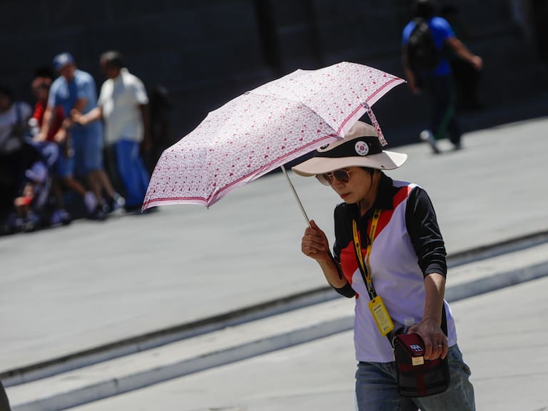 Calor extremo en Santiago: a qué hora se registrará el peak de temperatura este lunes 29 de diciembre