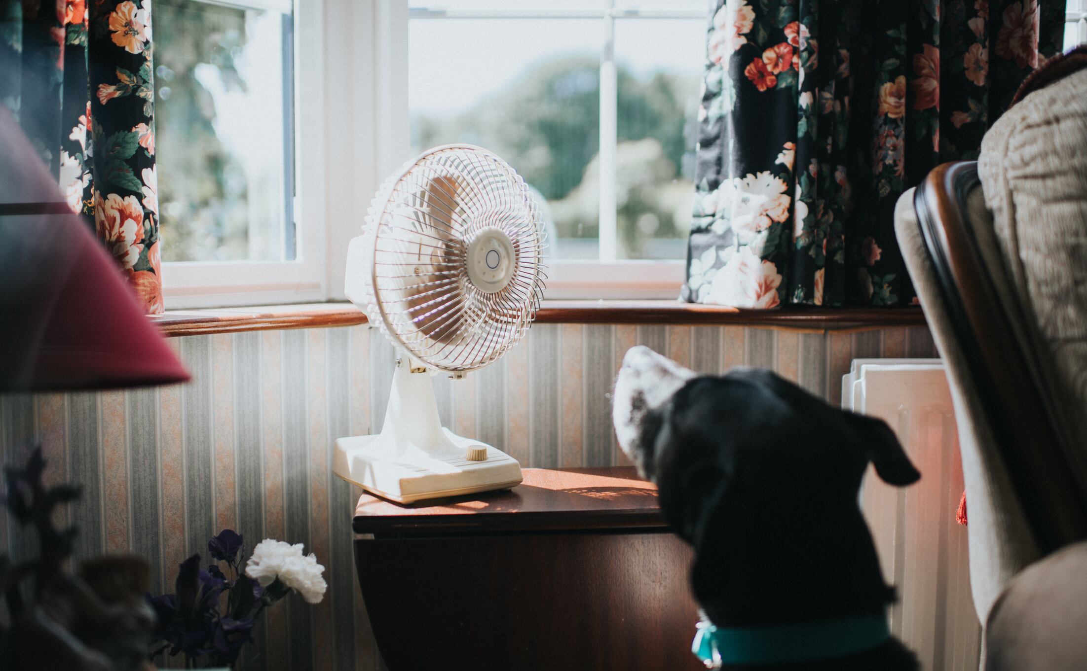 El truco casero y gratuito para que tu ventilador funcione tan bien como un aire acondicionado