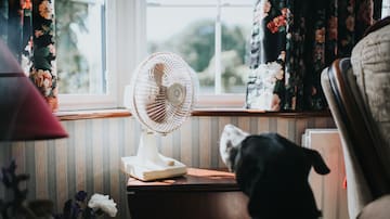 El truco casero y gratuito para que tu ventilador funcione tan bien como un aire acondicionado