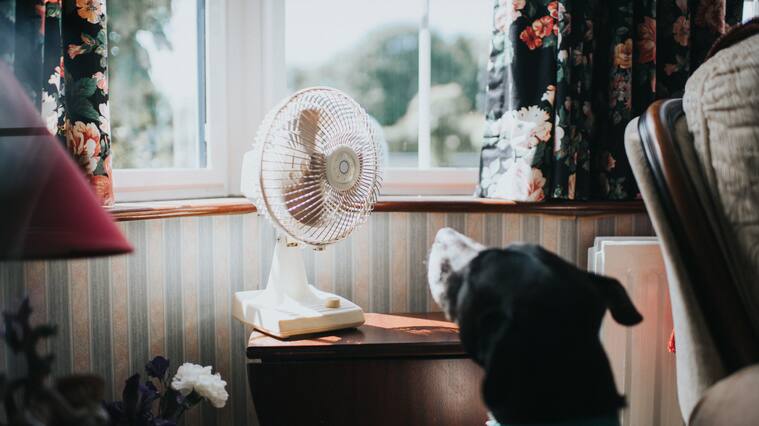 El truco casero y gratuito para que tu ventilador funcione tan bien como un aire acondicionado