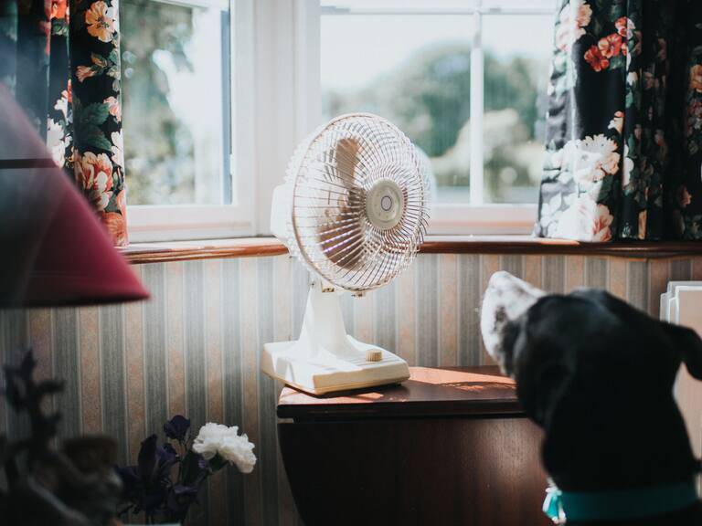El truco casero y gratuito para que tu ventilador funcione tan bien como un aire acondicionado