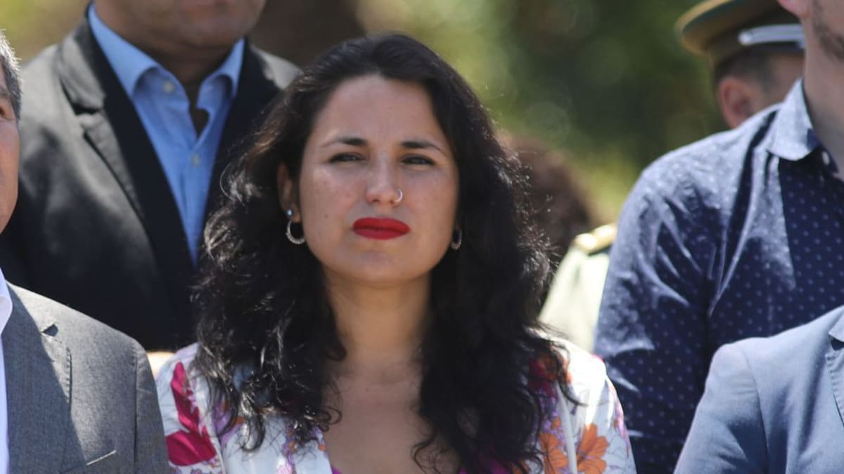 “Actuamos con rigor”: exdelegada presidencial de Valparaíso responde a informe de Contraloría por deficiencias tras incendios