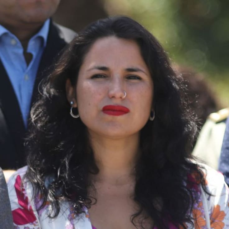 “Actuamos con rigor”: exdelegada presidencial de Valparaíso responde a informe de Contraloría por deficiencias tras incendios