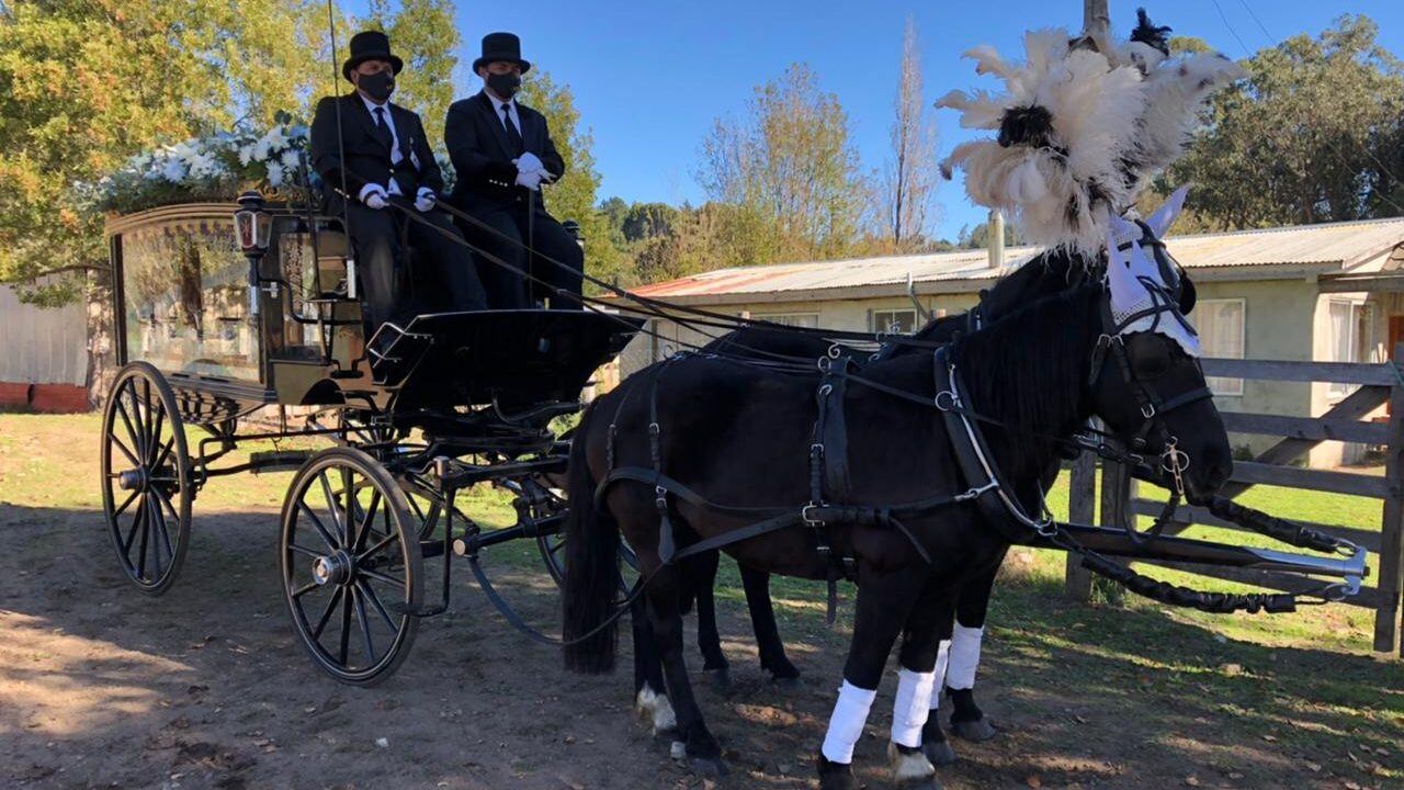 Carruaje de caballos para Tomás Bravo / Cedida