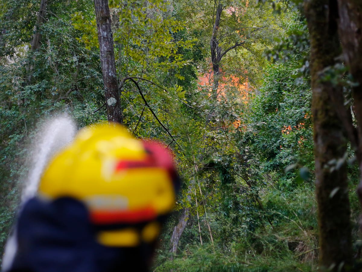 Incendio en Rauco afecta 5 hectáreas de vegetación nativa: se produjo tras tronadura en una cantera