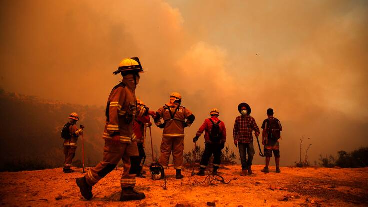 Evacuaciones masivas en Litueche por incendio forestal de rápida propagación