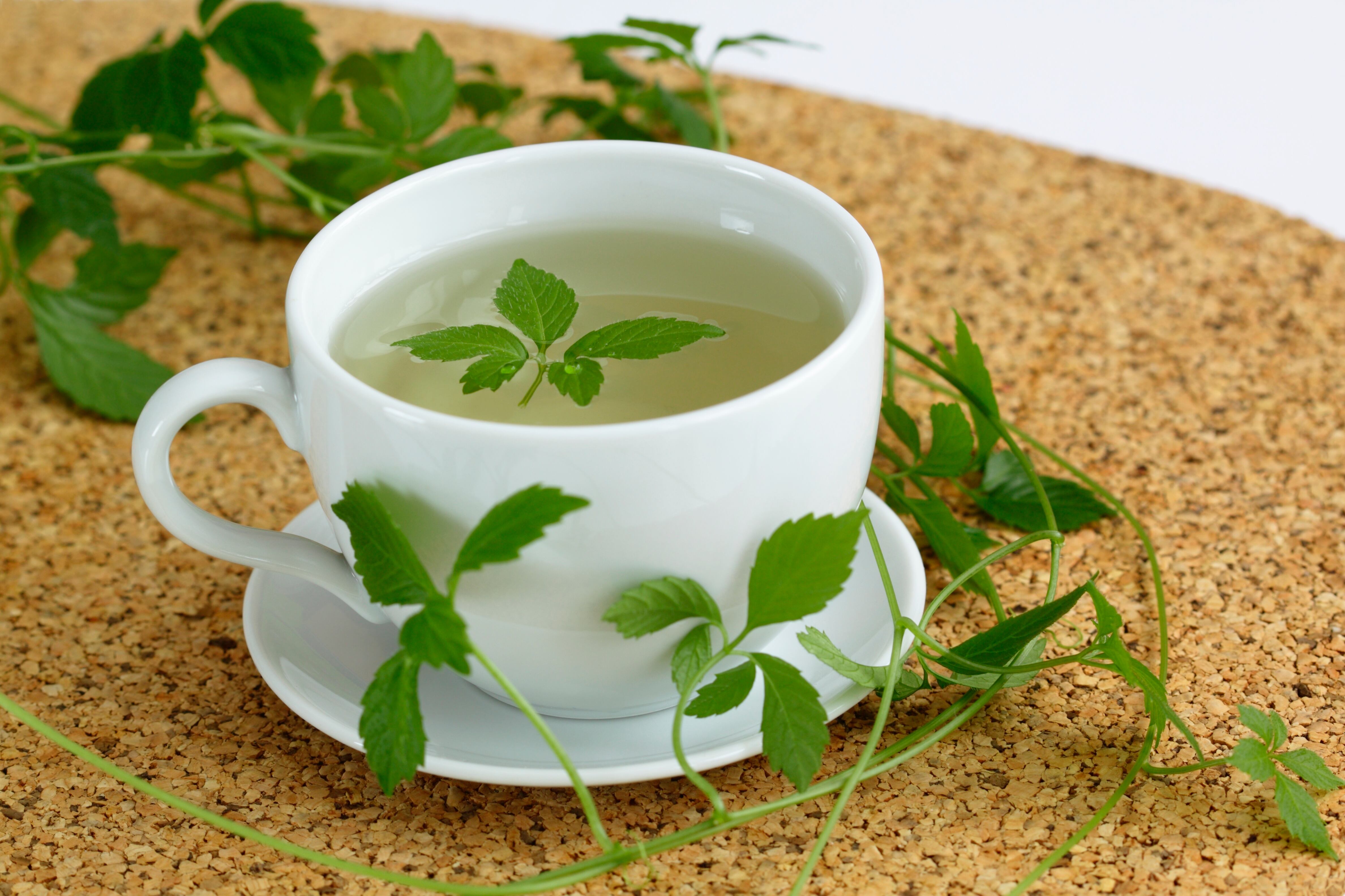Té de Jiaogulan 