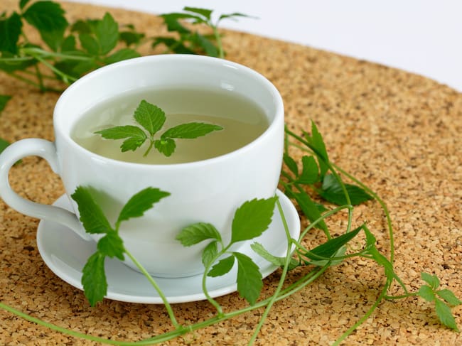 Té de Jiaogulan