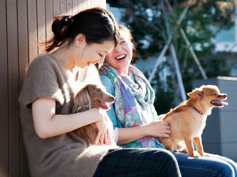 Japón se convierte en el primer país del mundo en tener más mascotas que niños