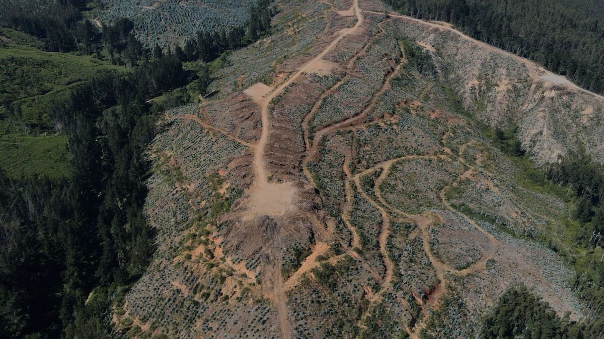proyecto minero de tierras raras en Penco y Lirquén