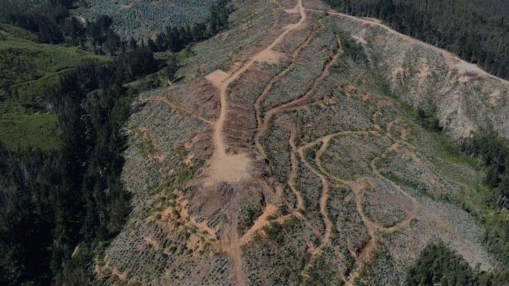 proyecto minero de tierras raras en Penco y Lirquén