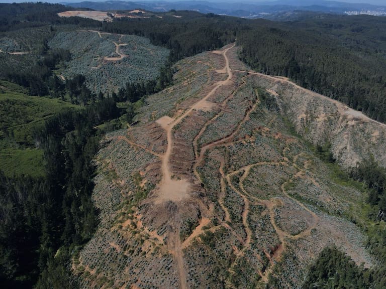 Aprueban polémico proyecto minero de tierras raras en Penco y Lirquén con fuerte oposición ciudadana