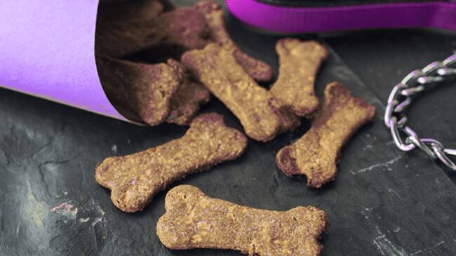 niña fallece por galleta para perros envenenada