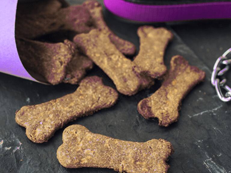 niña fallece por galleta para perros envenenada