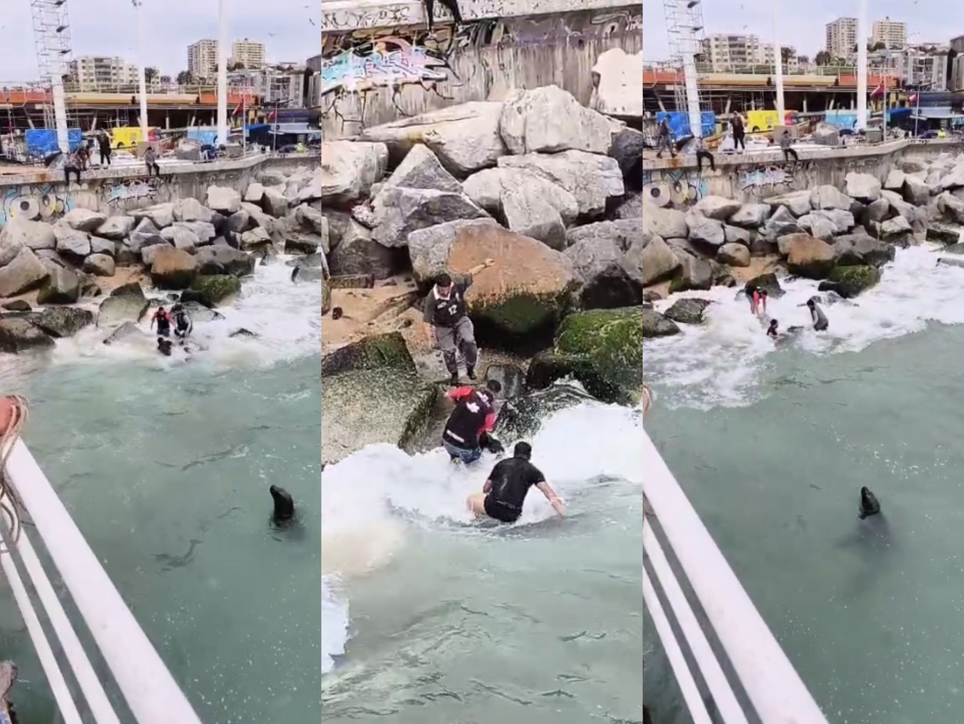 Rescate en Caleta Portales