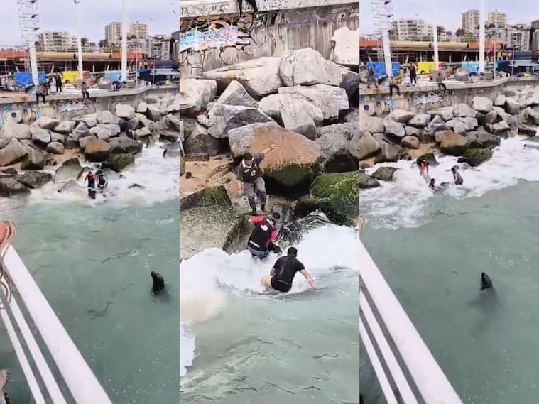 Rescate en Caleta Portales