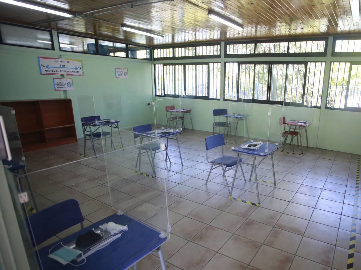 Colmed y Profesores: «Consideramos un imperativo ético defender la vida y la salud de nuestras comunidades educativas»