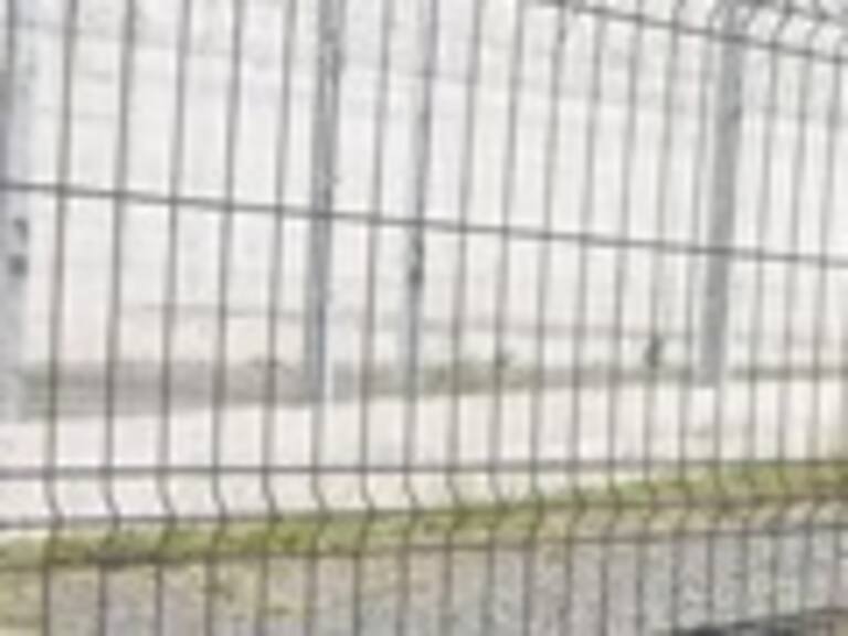 ISP confirmó nueva víctima de virus hanta en el Biobío