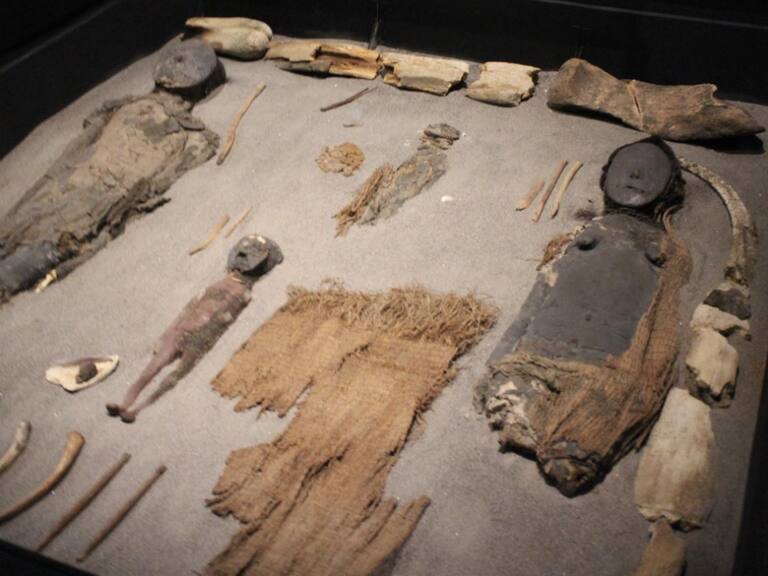 Académico de Arica y reconocimiento patrimonial a la cultura Chinchorro: «Son años de esfuerzo y trabajo»