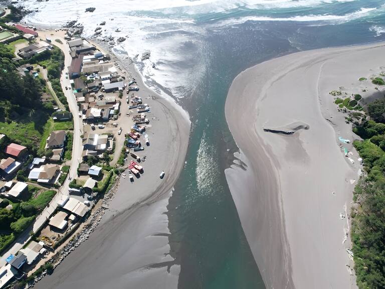 Alarma ambiental en Vichuquén por masiva mortandad de peces