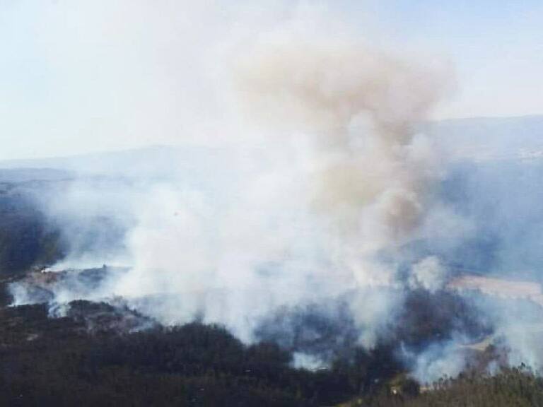 Colegio de Ingenieros Forestales por incendios en el país - ADN Hoy - 6 de febrero de 2024
