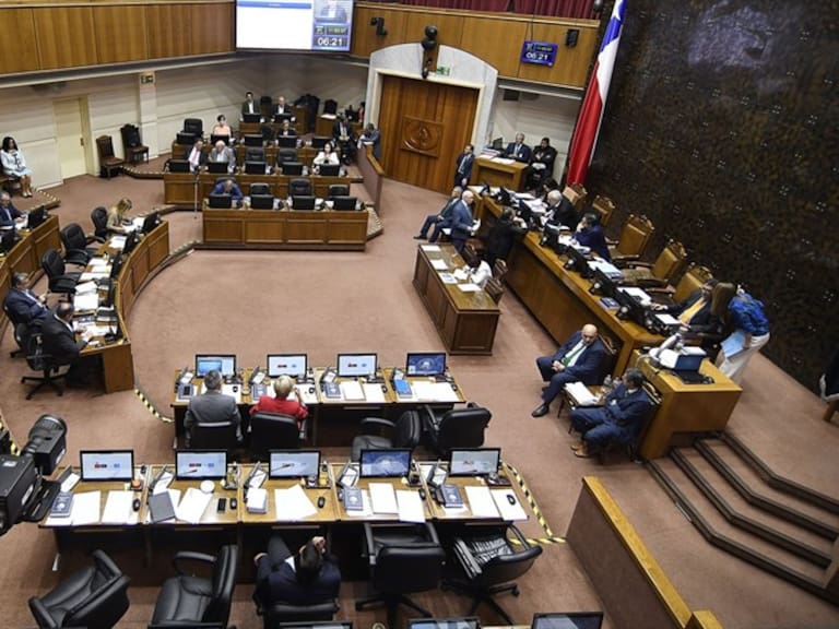 Senado aprobó en general paridad de género y elección de independientes en proceso constituyente