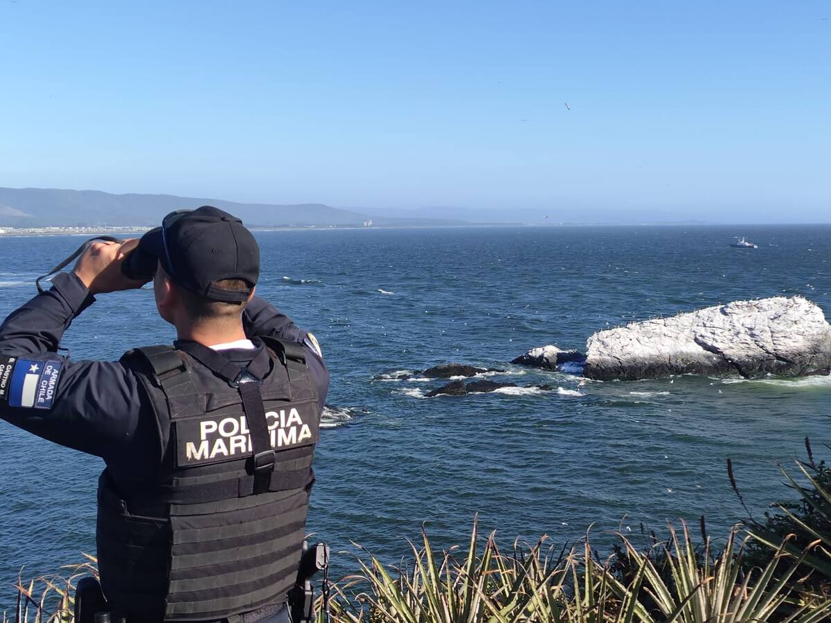 Hombre desaparece en Río Biobío: se lanzó para rescatar a sus hijos