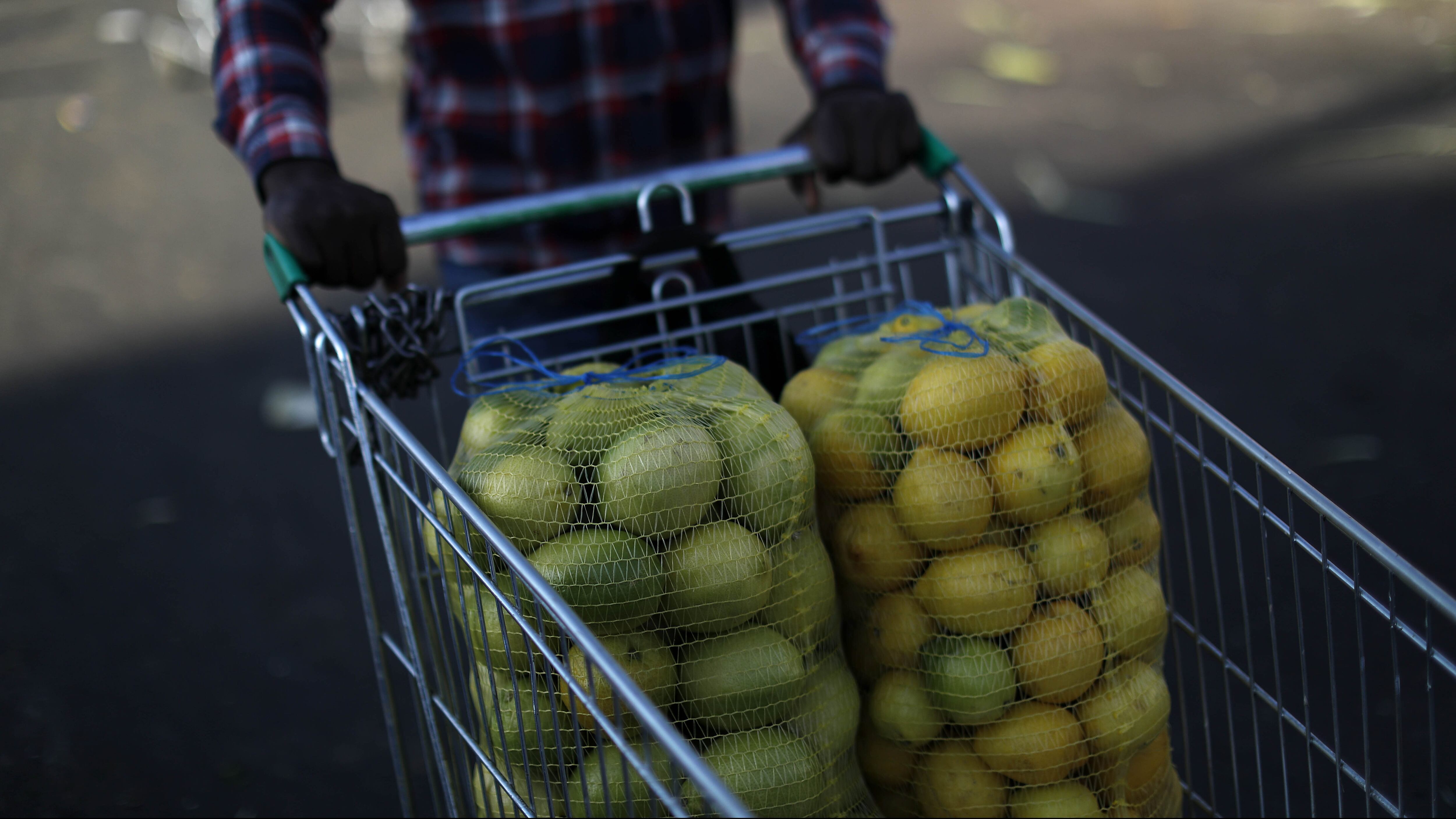 09 de Febrero de 2021/SANTIAGO Imágenes temáticas de verduras, en cual el INE informo y entregó las nuevas variaciones de precios en los productos , siendo los limones, con un 54,3% de aumento, los con mayor alza. Por otro lado, las papas (9,0%) y las frutas (3,6%) también registran un incremento.
FOTO:CRISTOBAL ESCOBAR/AGENCIAUNO