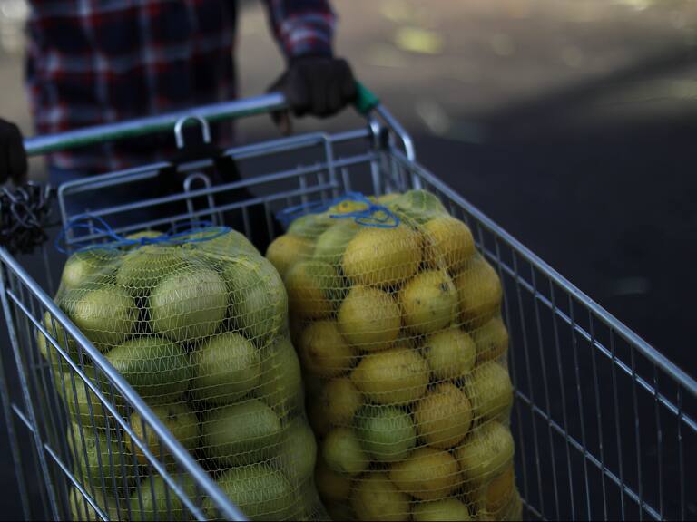 09 de Febrero de 2021/SANTIAGO Imágenes temáticas de verduras, en cual el INE informo y entregó las nuevas variaciones de precios en los productos , siendo los limones, con un 54,3% de aumento, los con mayor alza. Por otro lado, las papas (9,0%) y las frutas (3,6%) también registran un incremento.
FOTO:CRISTOBAL ESCOBAR/AGENCIAUNO