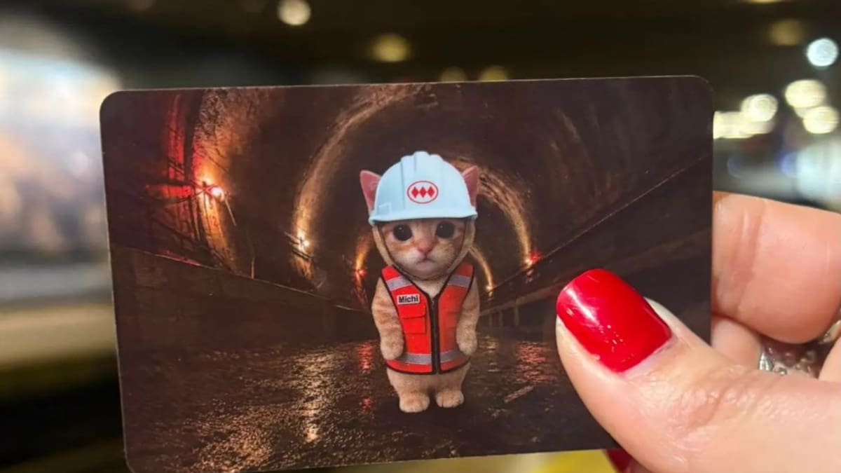 “Michi Bip!” vuelve al Metro: conoce desde qué hora y cuáles son las estaciones donde podrás comprar la tarjeta