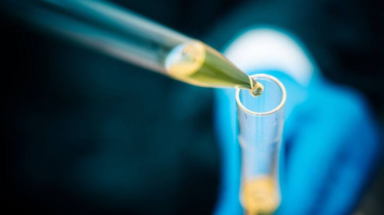 Laboratory technician using a pipette to fill a solution in a test tube, close-up.