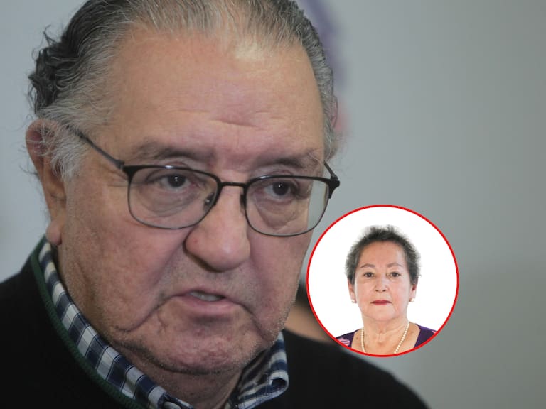 Huenchumilla - María Ignacia González