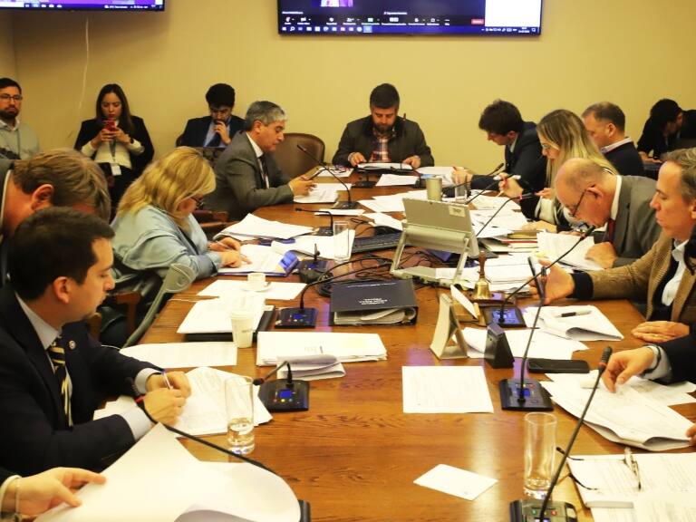 Comisión de Seguridad despacha el proyecto de usurpaciones a Sala: oficialismo criticó la iniciativa