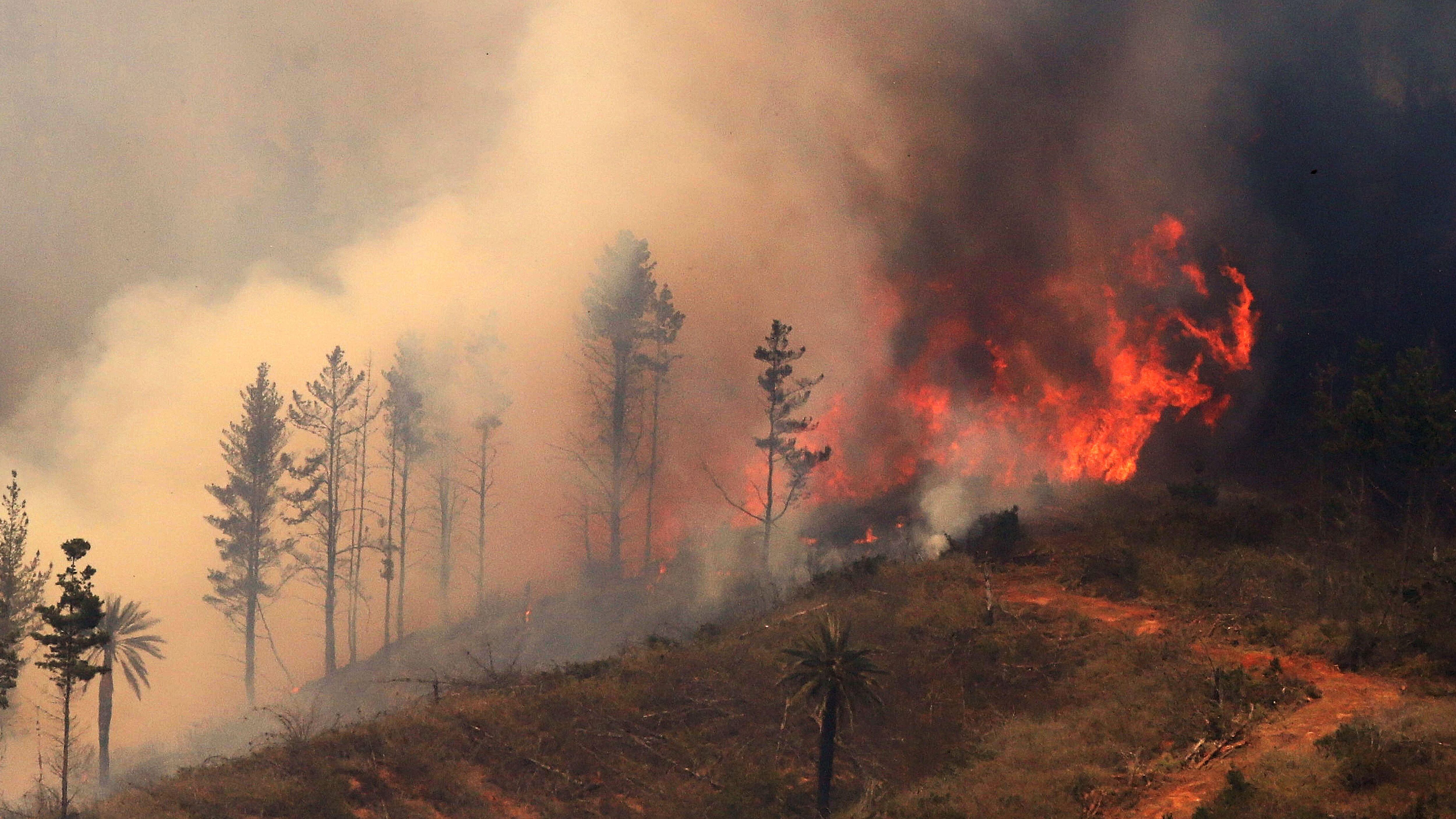 Valparaíso: decretan Alerta Roja por incendio forestal que amenaza a viviendas