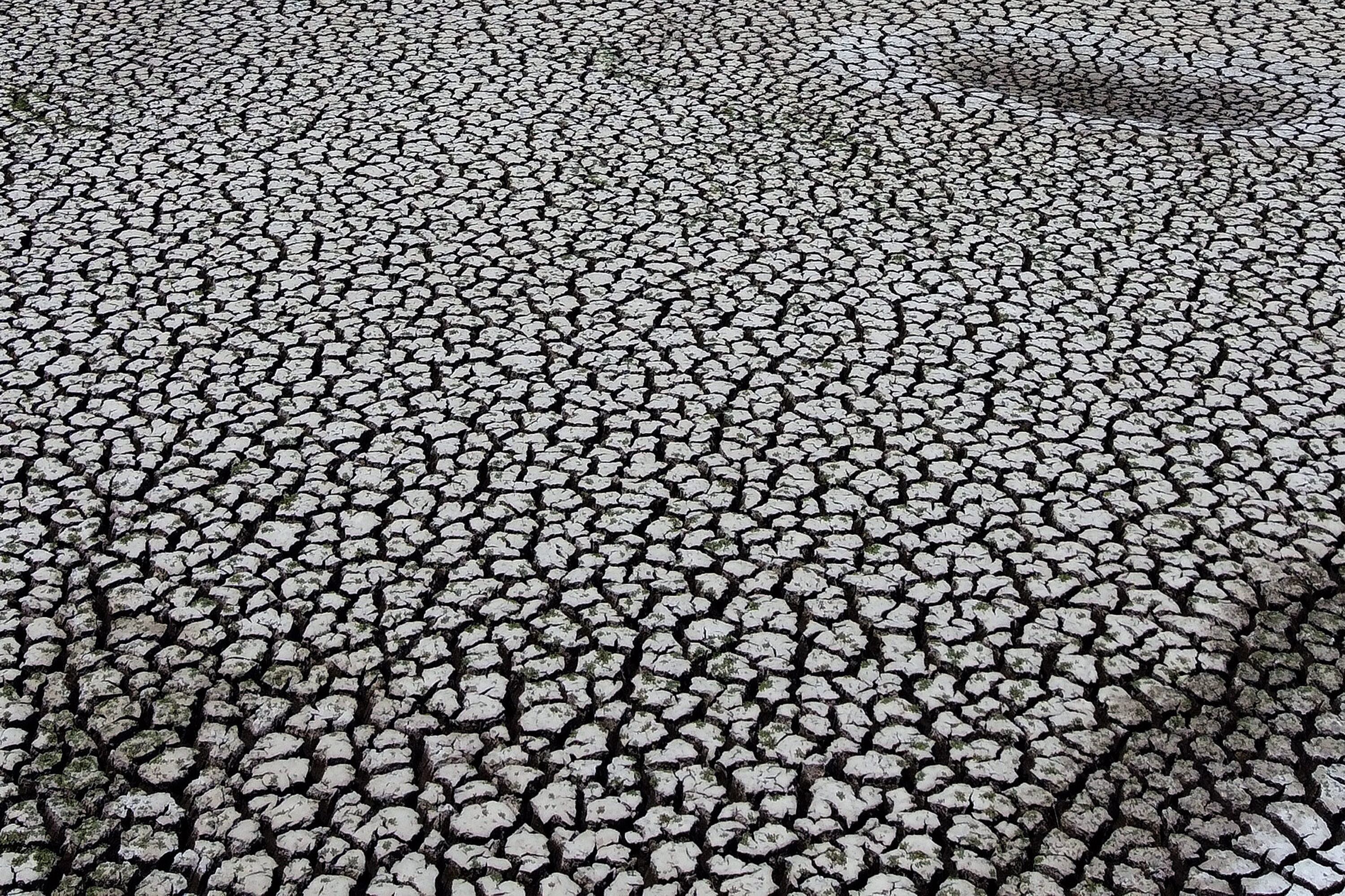 En Puente Social hablan sobre el cambio climático.