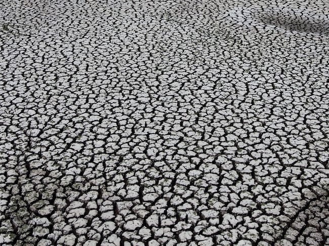 En Puente Social hablan sobre el cambio climático.
