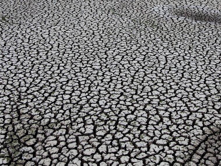 En Puente Social hablan sobre el cambio climático.