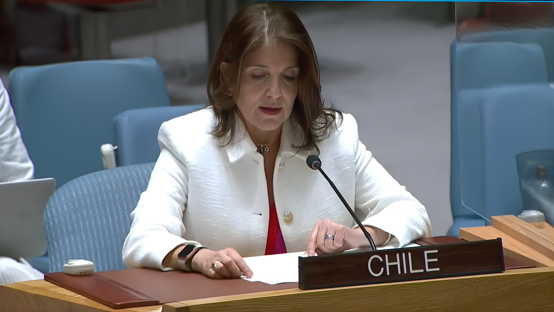 Paula Narváez, embajadora de Chile ante la ONU