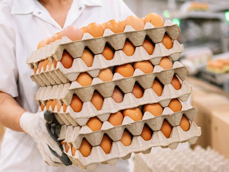 Chilehuevos declara que brote de gripe de aviar no pone en riesgo la producción